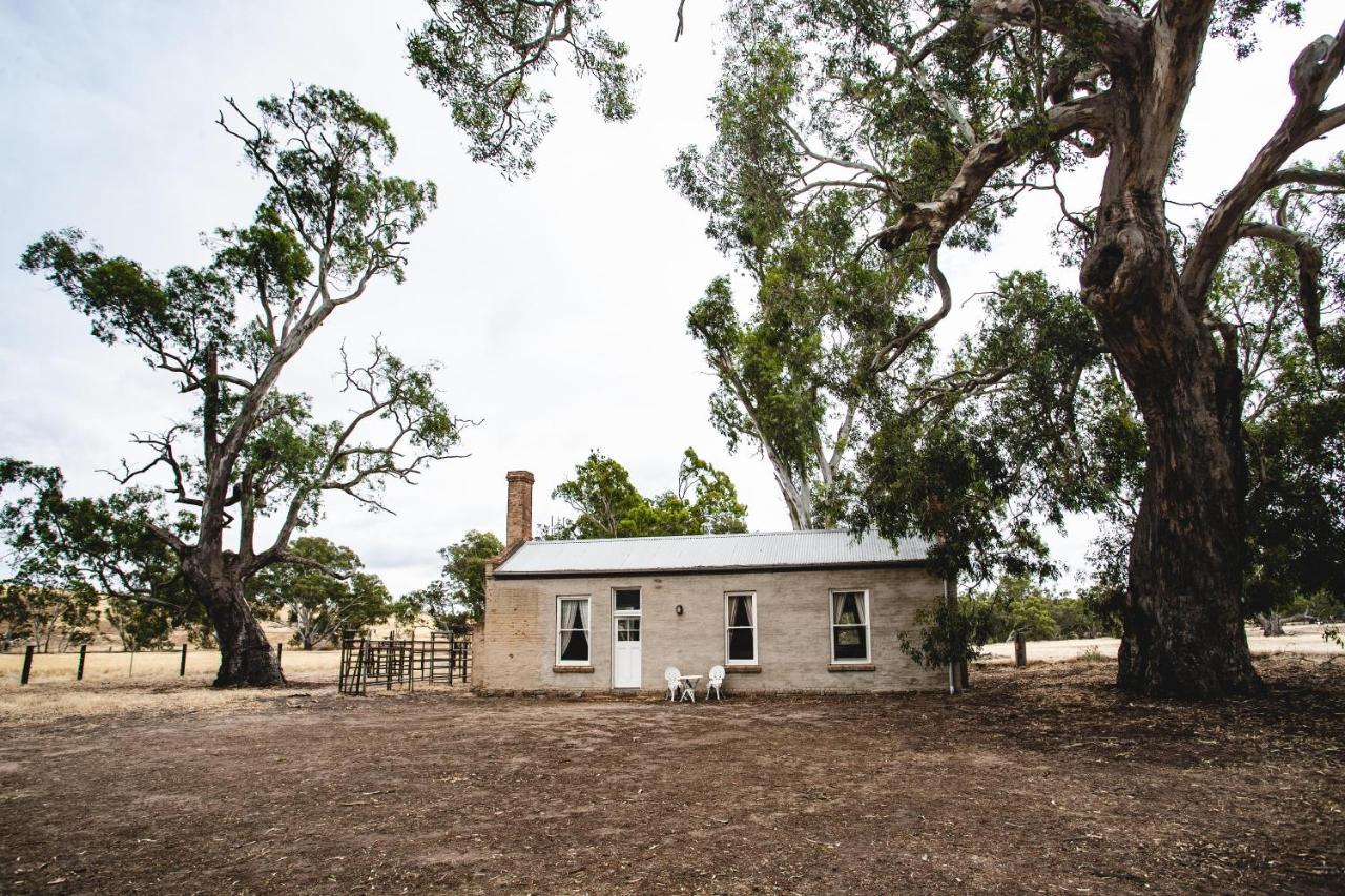 Ravenswood Homestead المظهر الخارجي الصورة